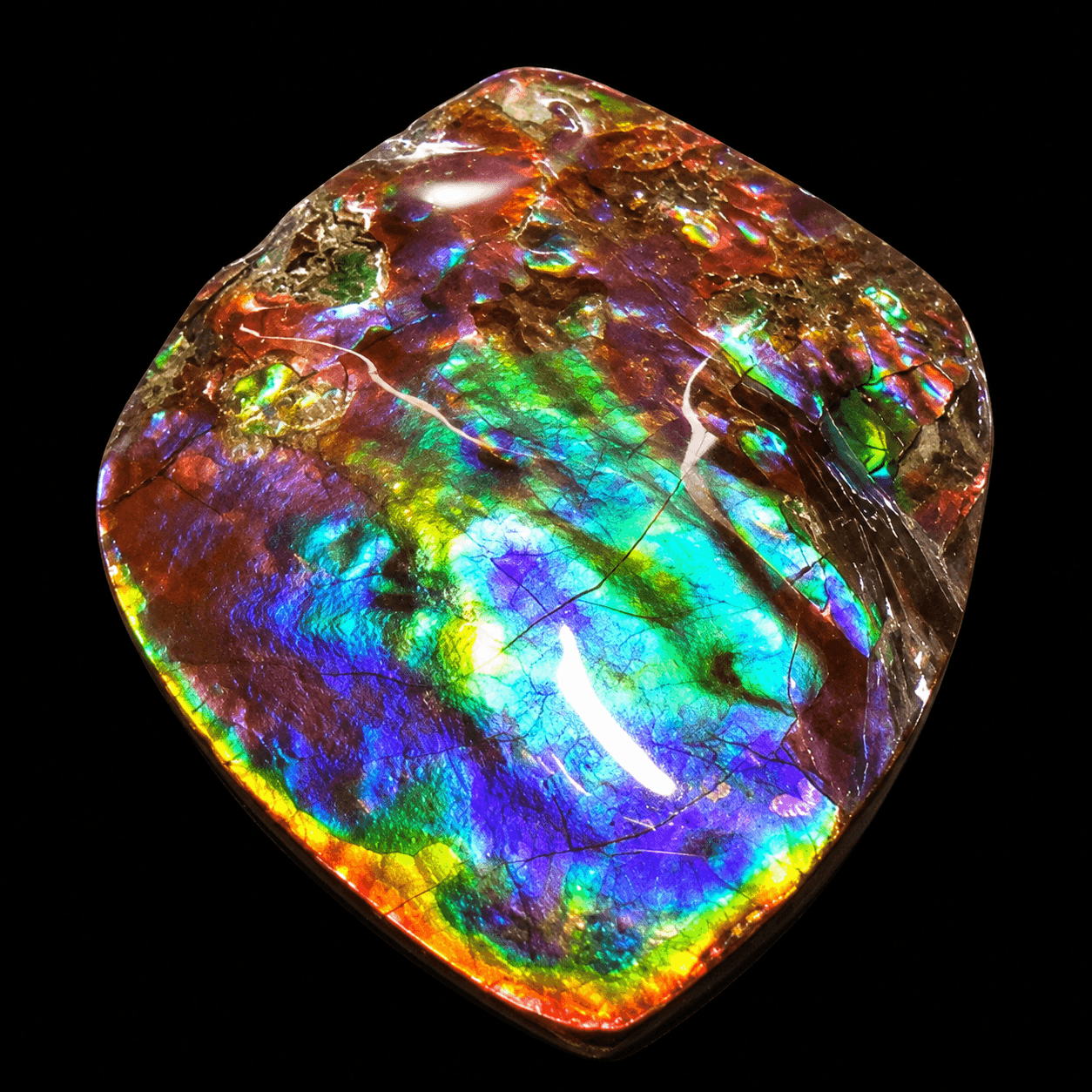Ammolite Lucky Stone A04