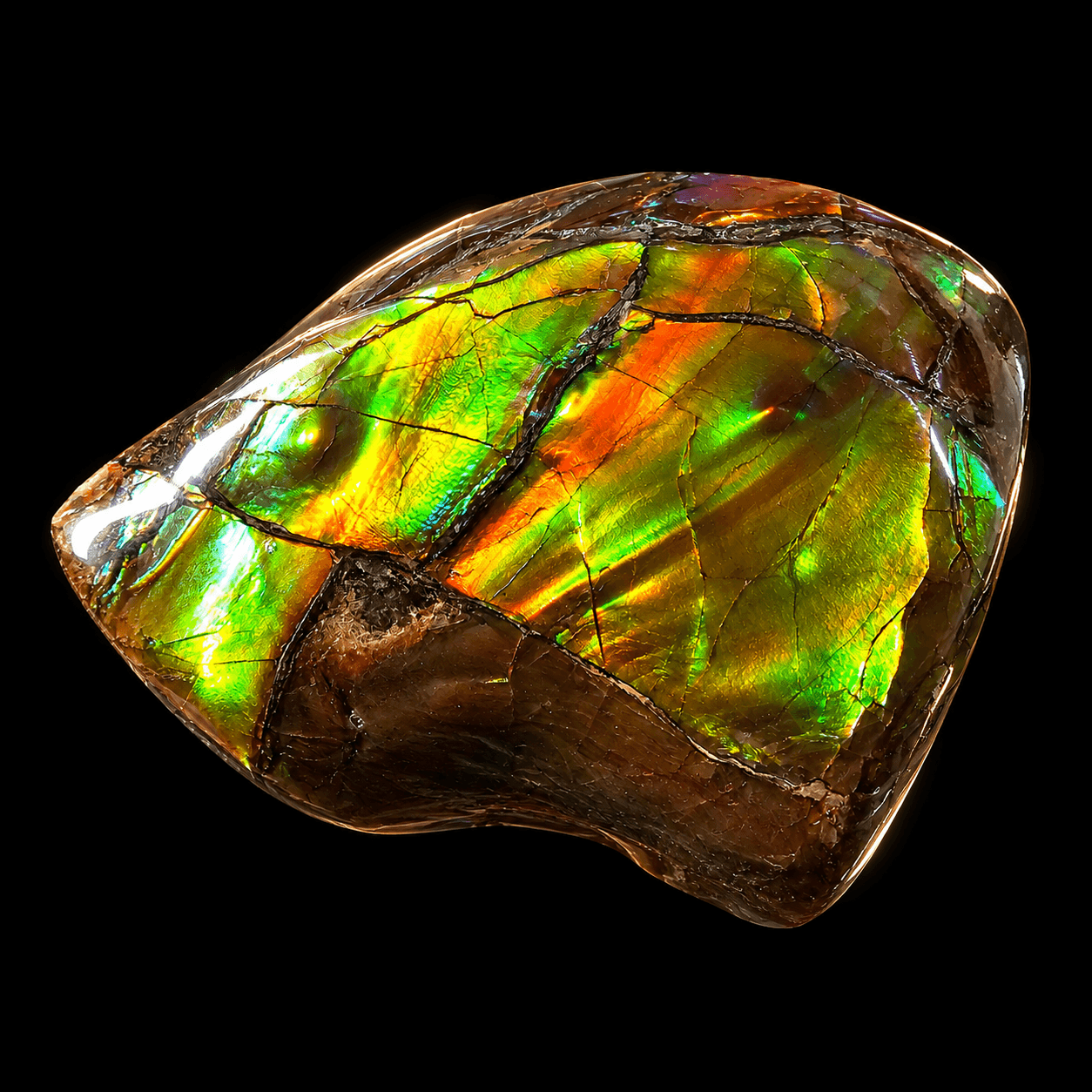 Ammolite Lucky Stone A02
