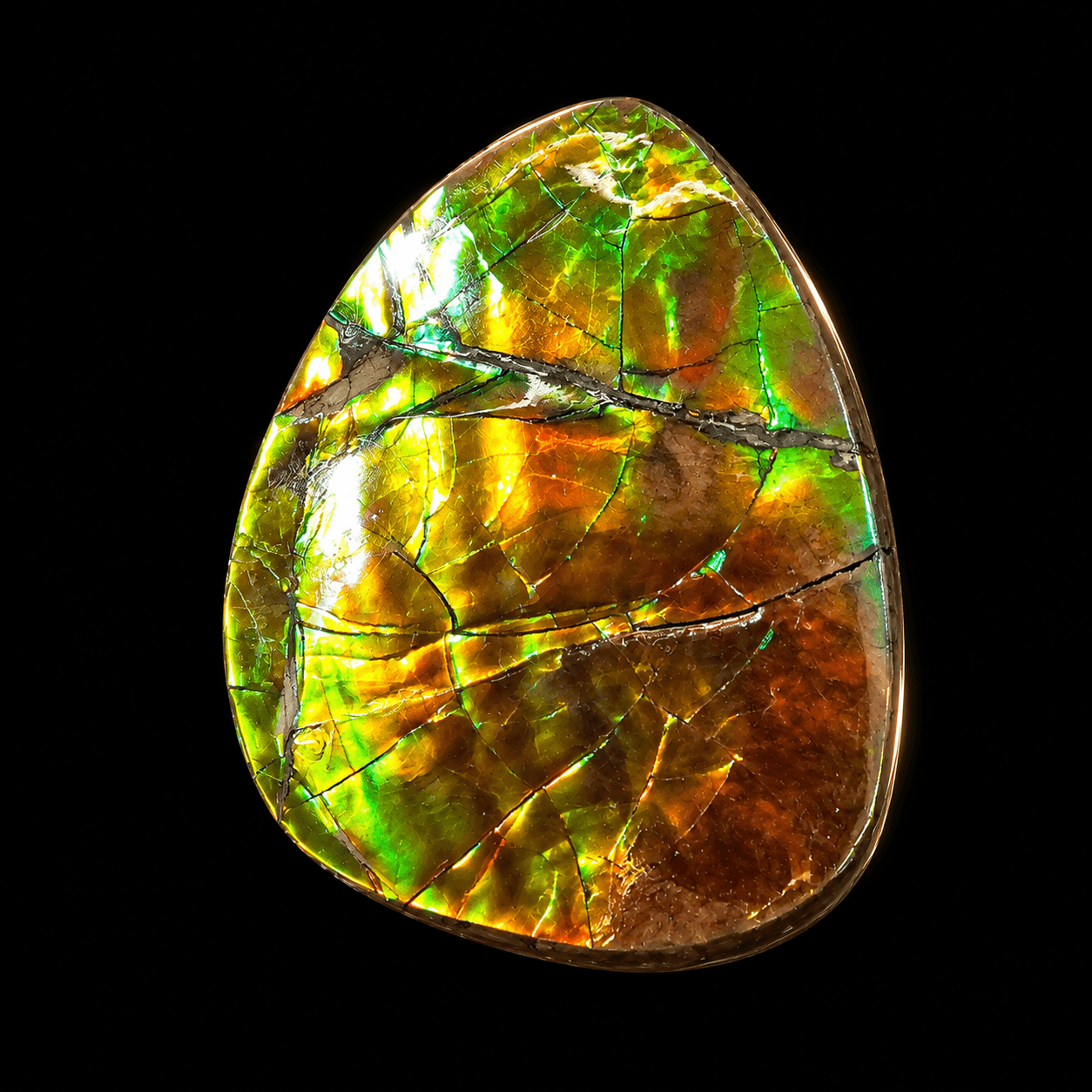 Ammolite Lucky Stone A03