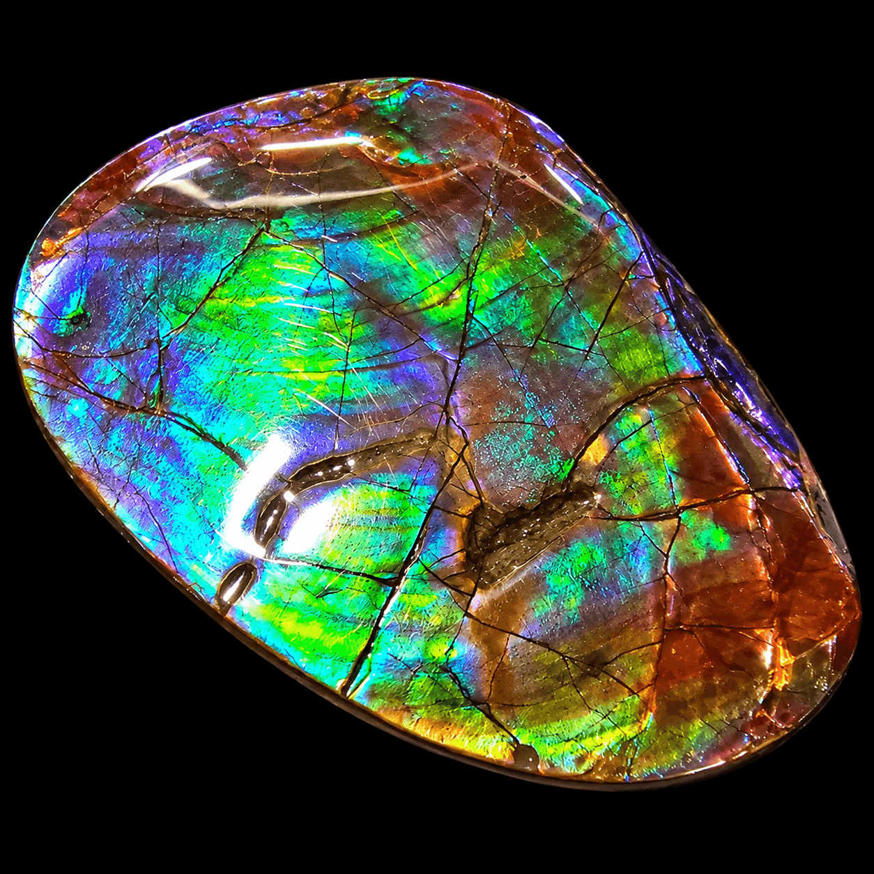 Ammolite Lucky Stone A05