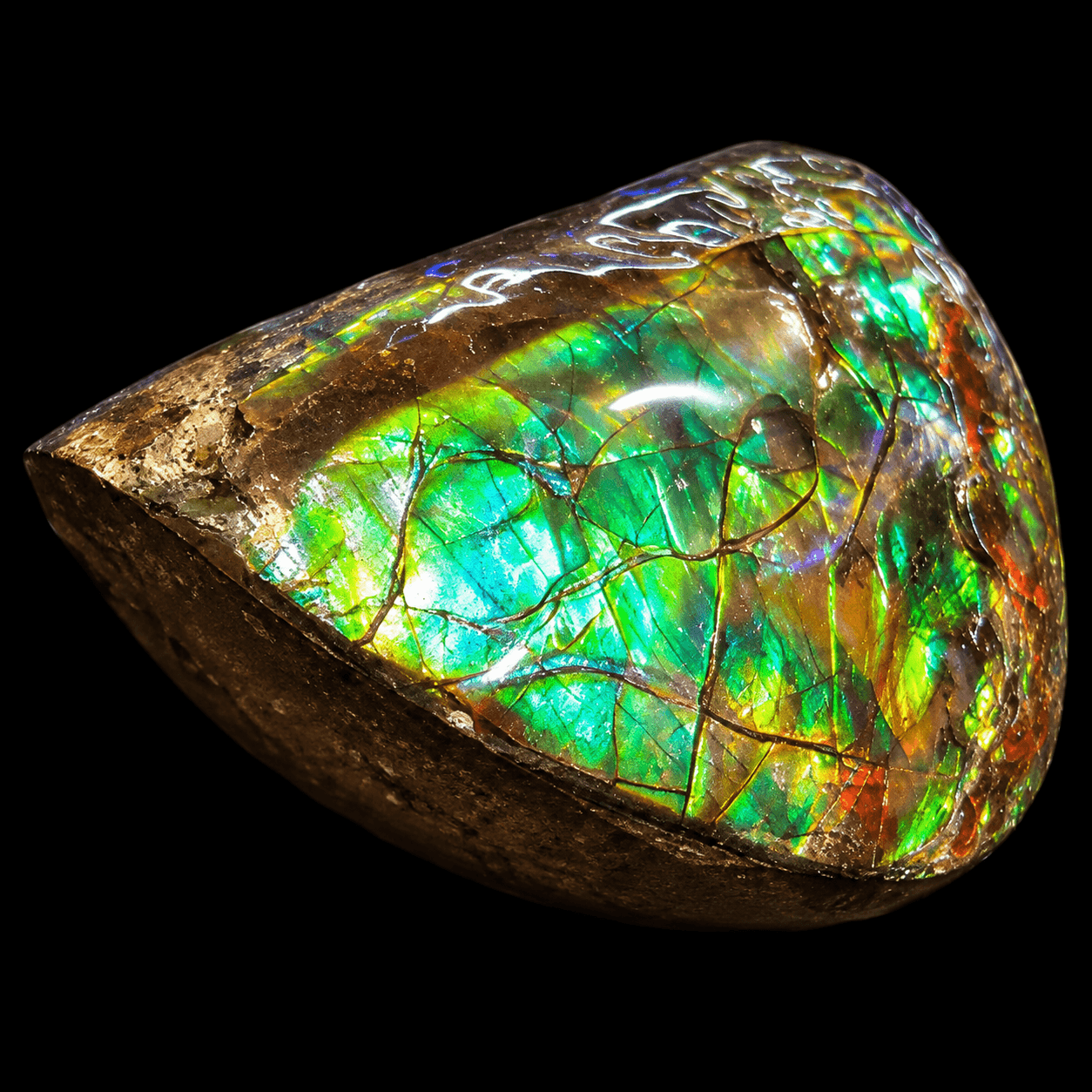 Ammolite Lucky Stone A06